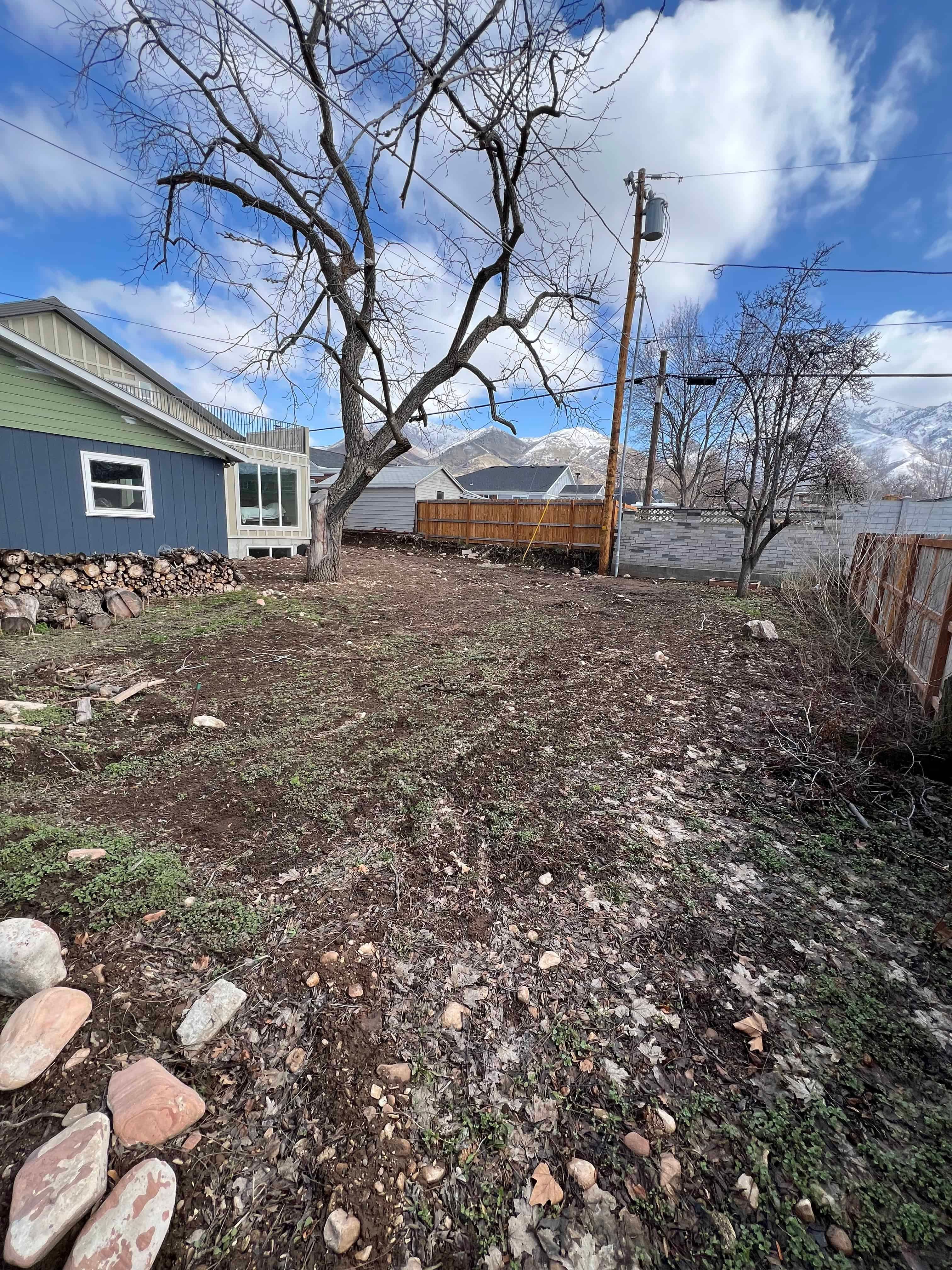 Photo Mar 08 2024, 11 51 02 AM