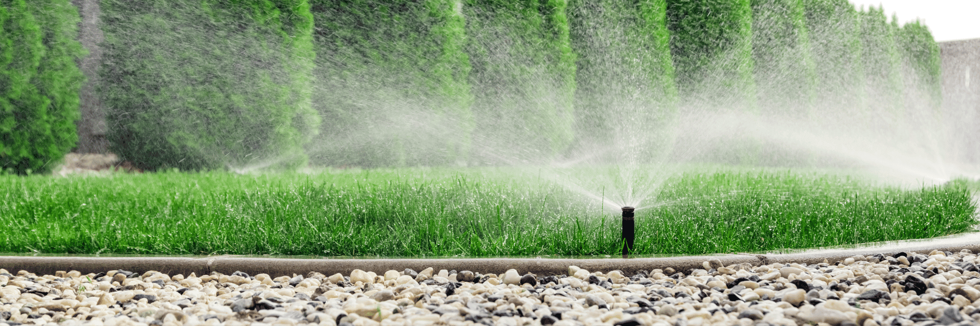 Lawn sprinkler watering a landscaped residential yard