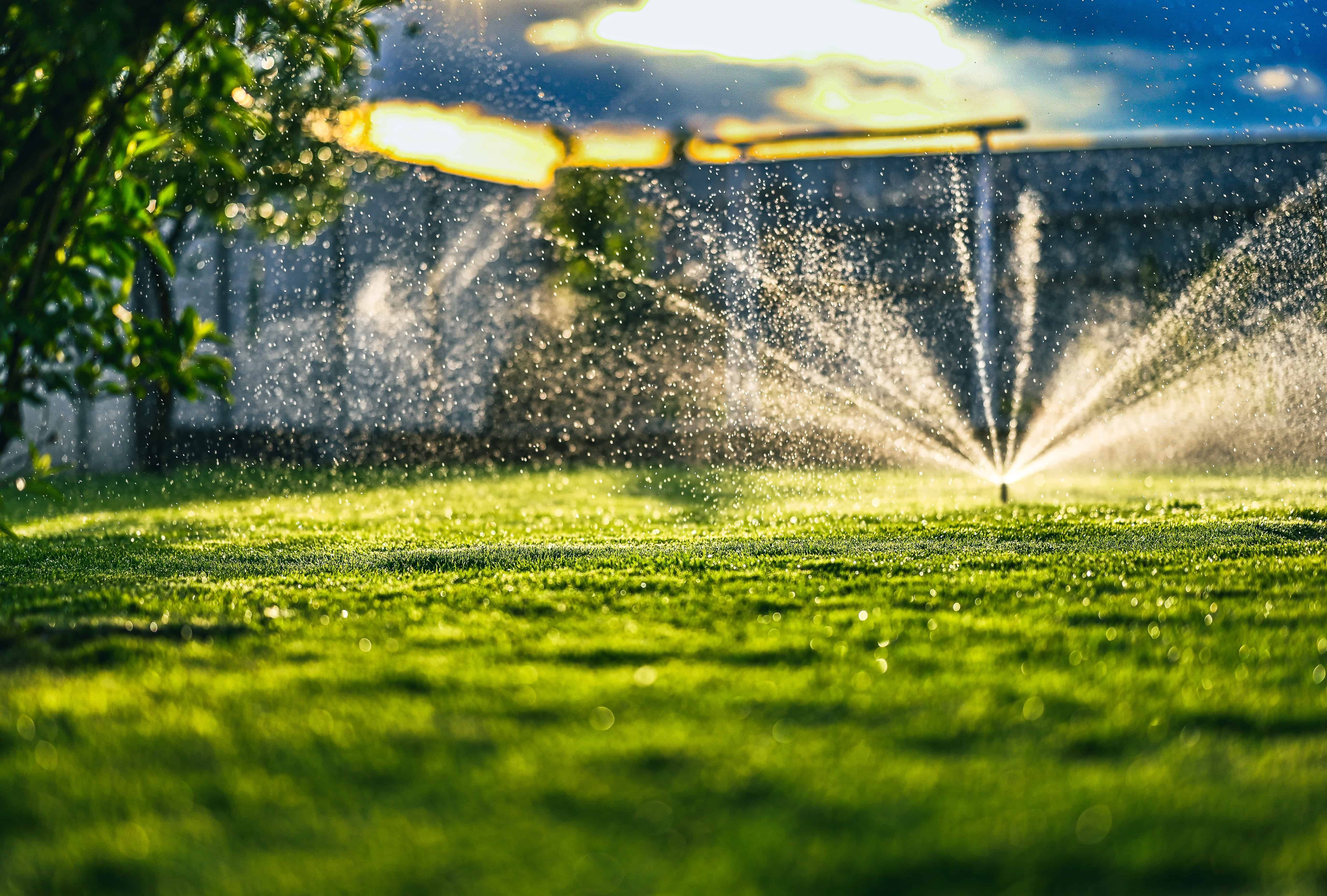 Efficient sprinkler repair service for lush, healthy green lawns