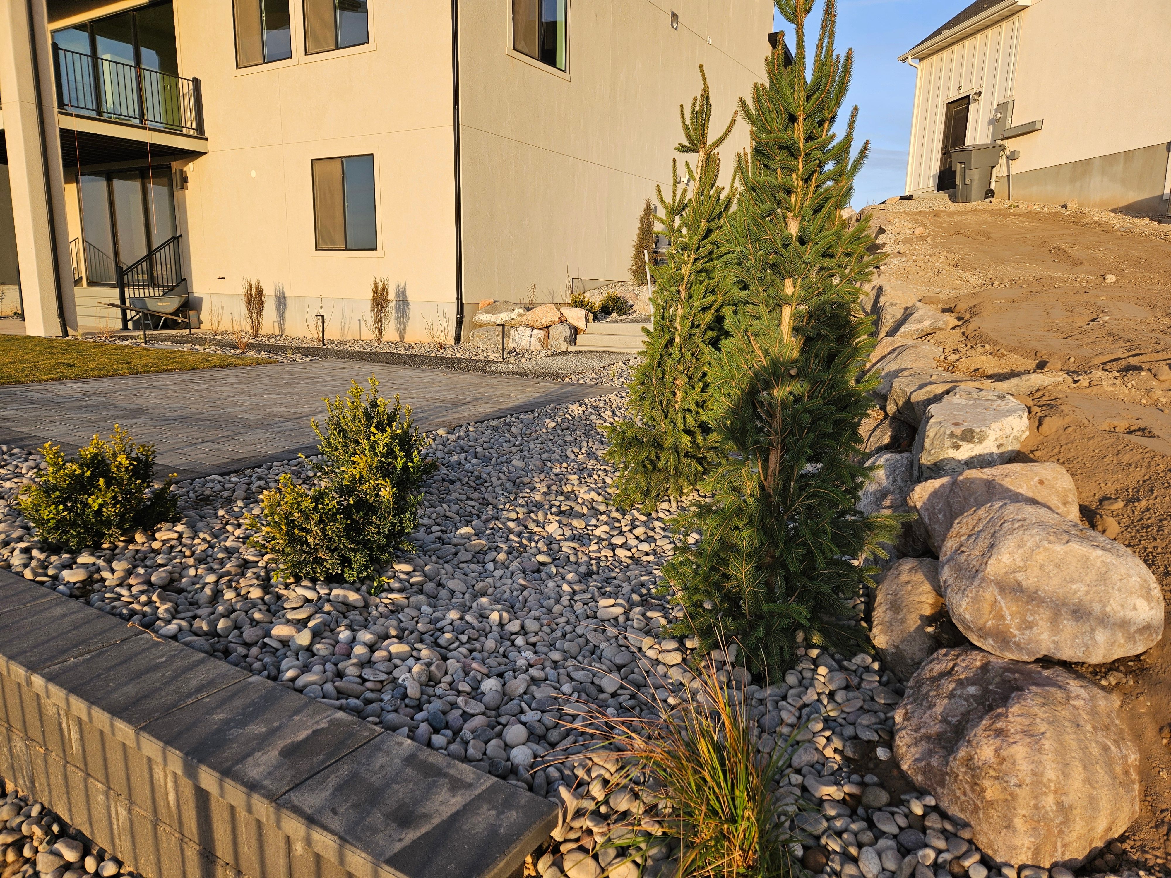 Backyard Xeriscaping and Plants